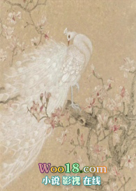 越鸟商贸